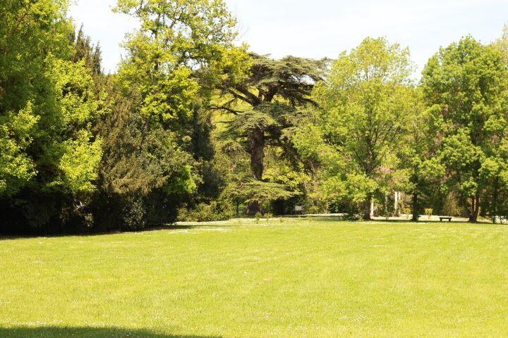 Chateau Castelrives Bessieres Bagian luar foto
